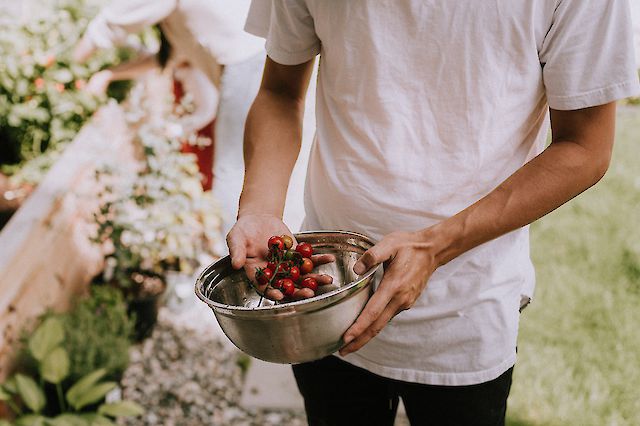 priscilla preez unsplash bij Catering voor onderwijs door CIRFOOD
