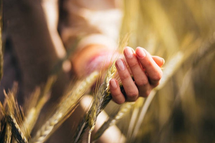 beeld duurzaamheidsrapport bij Duurzame catering en bewuste keuzes bij CIRFOOD