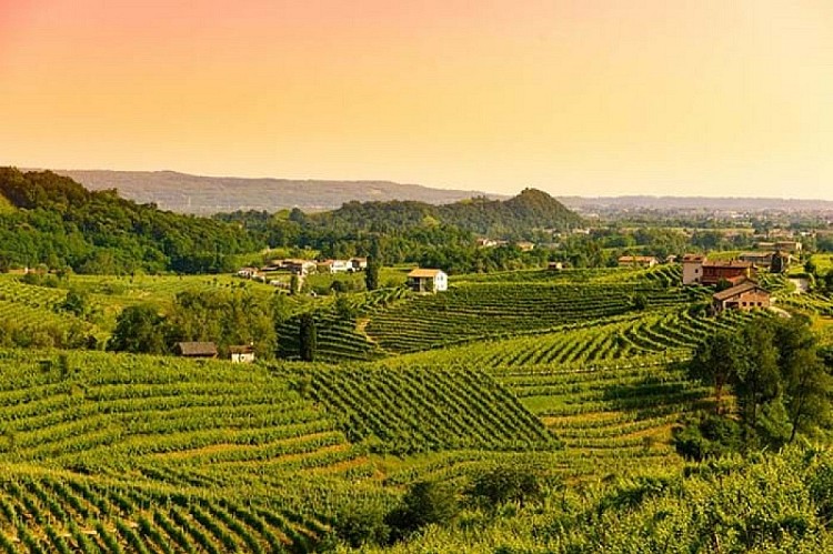 Italy at CIRFOOD catering en hospitality